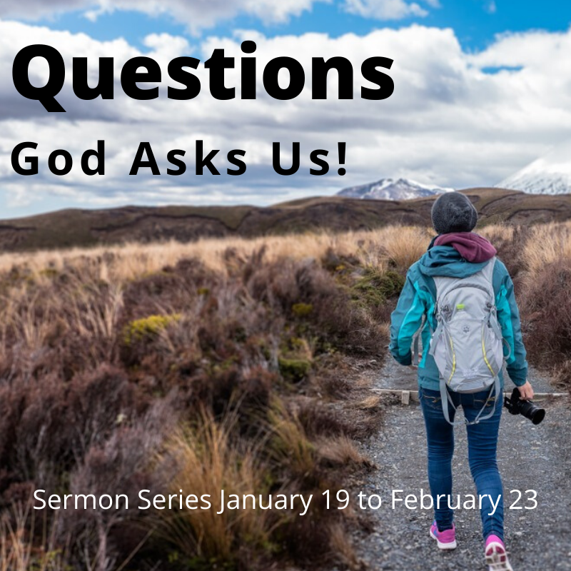 Questions God Asks Us! Sermon Series Buda United Methodist Church